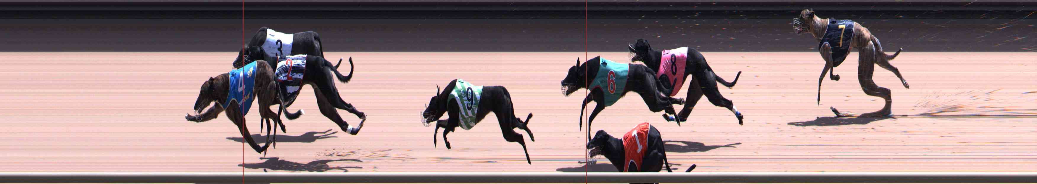 Race result finish photo